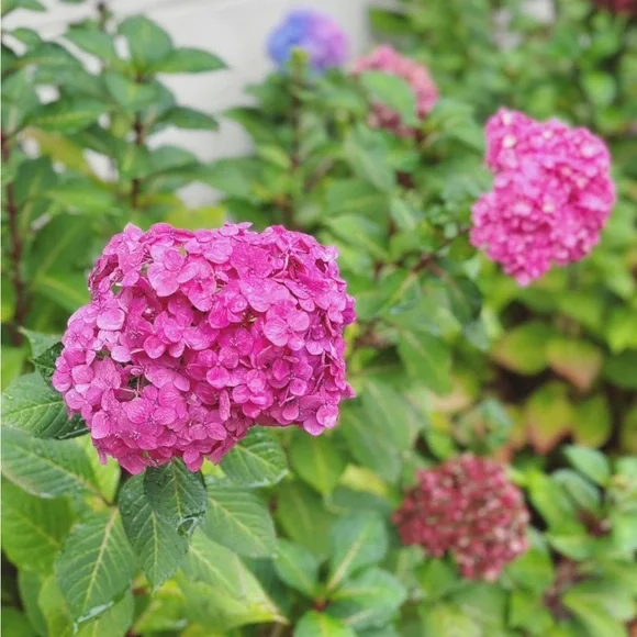 ❤️‍🔥 PopUp Live❤️‍🔥 April 4th Good Saturday 🐣 3pm CT 👩🏻 Clothing & More 👗 - Picture 3 of 9